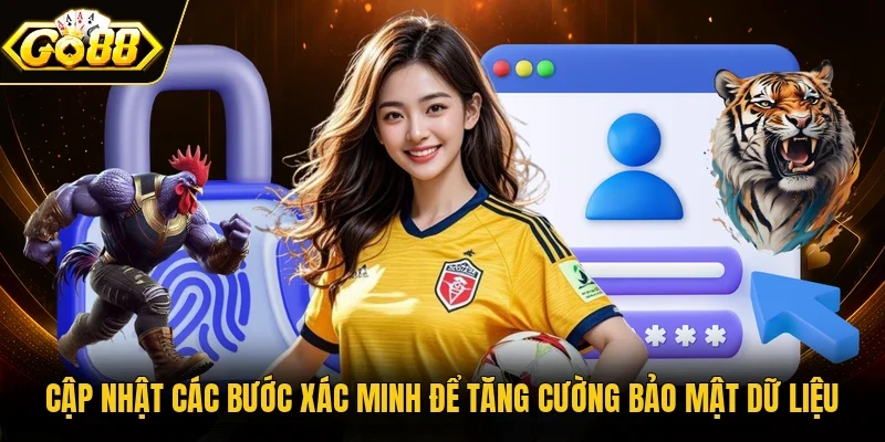 Cập nhật các bước xác minh để tăng cường bảo mật dữ liệu